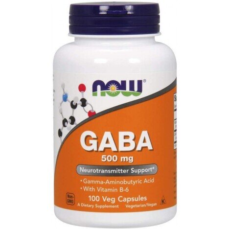 Now Foods GABA 500mg - 100 capsule